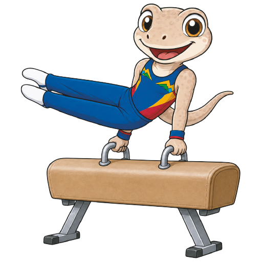 GIMNASIA ARTÍSTICA