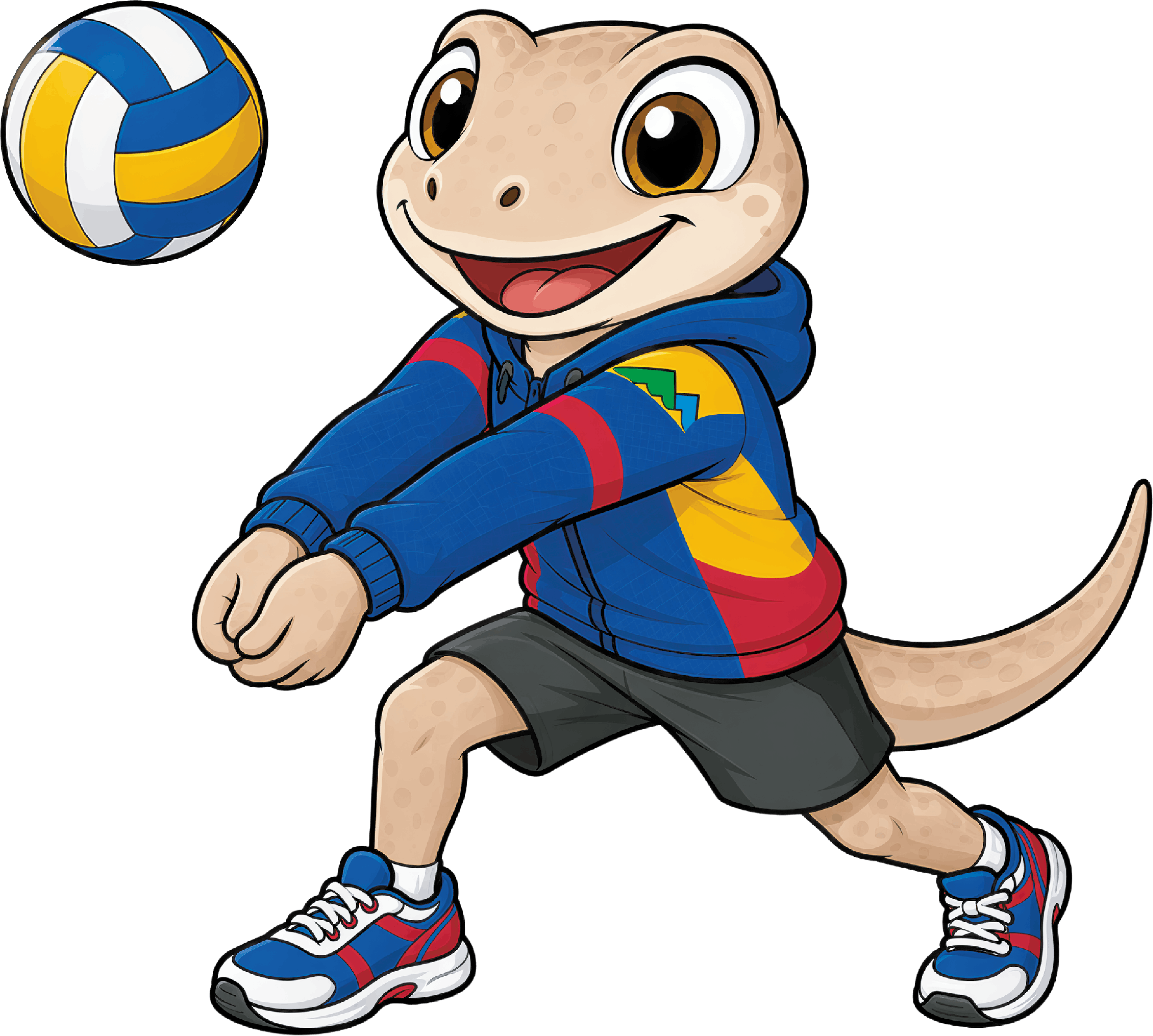 VOLEIBOL CANCHA